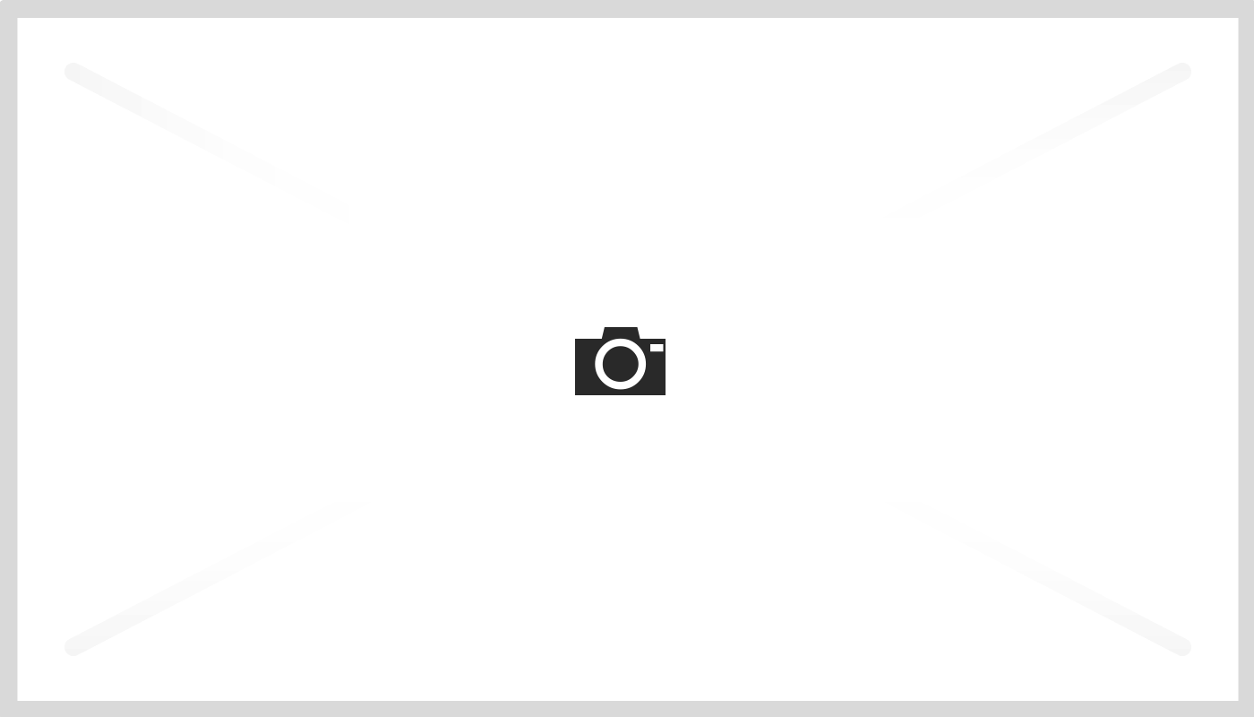 Exploring The Efficiency Of Modern Mulchers In Fire-Damaged Terrains